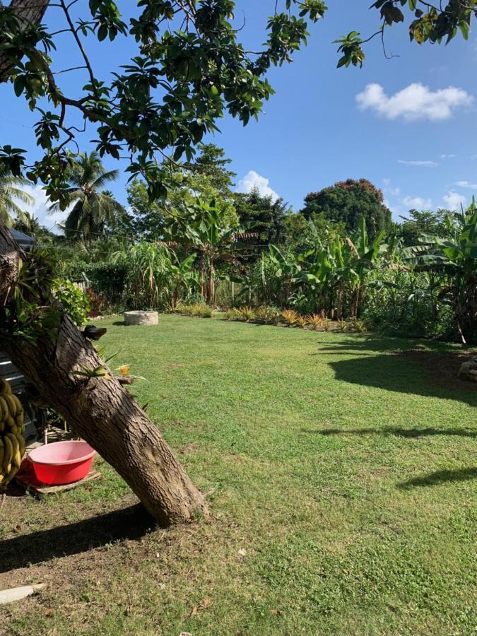 Green Queendom Farm And Lodging Oracabessa Exterior foto