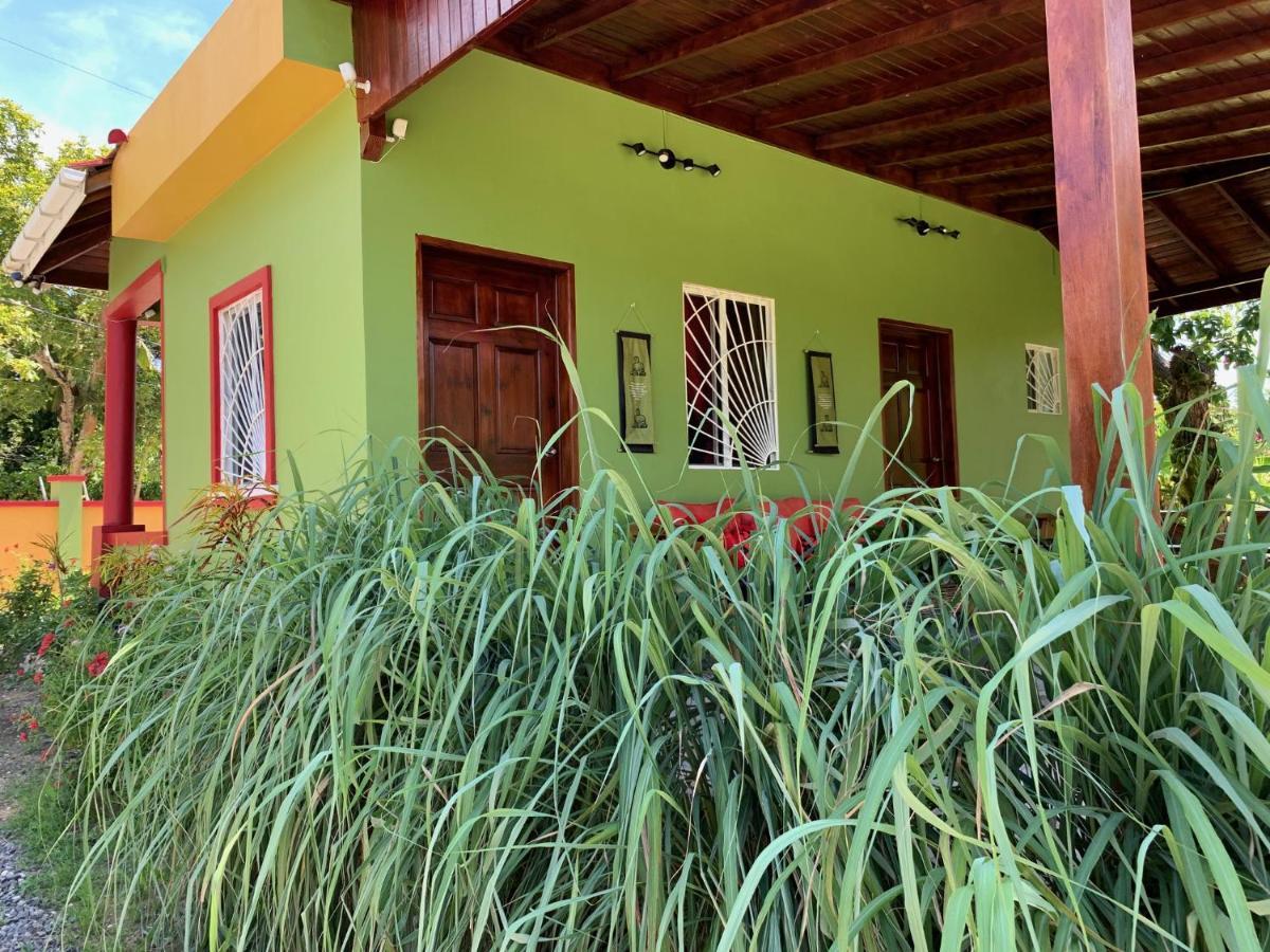 Green Queendom Farm And Lodging Oracabessa Exterior foto